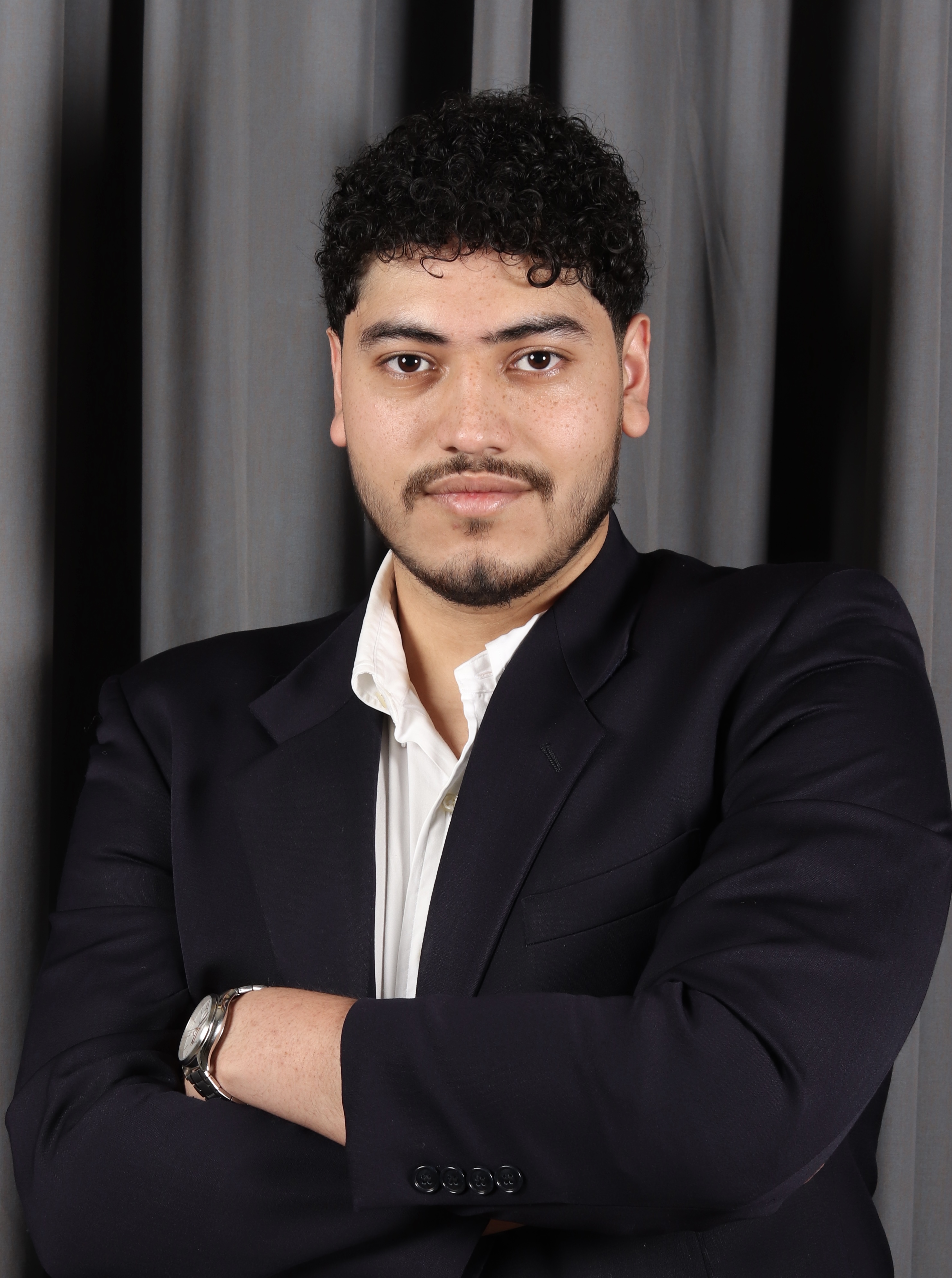 Director de Proyectos